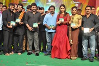 Bruce Lee Movie Audio Release Photos